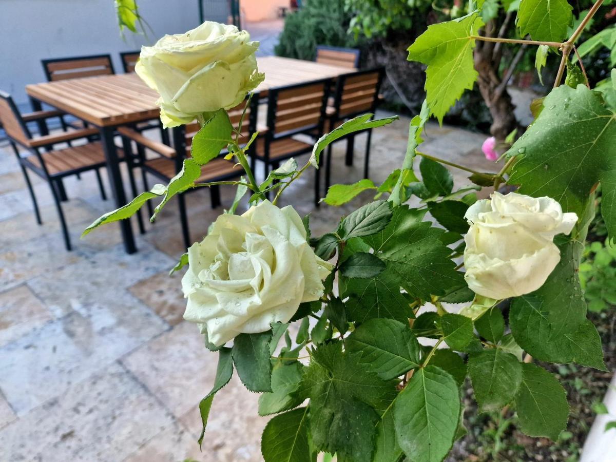 Premium Apartment Alba Rosa 斯普利特 外观 照片